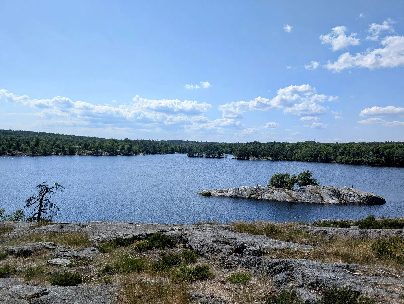 Hellasgården, Stoccolma
