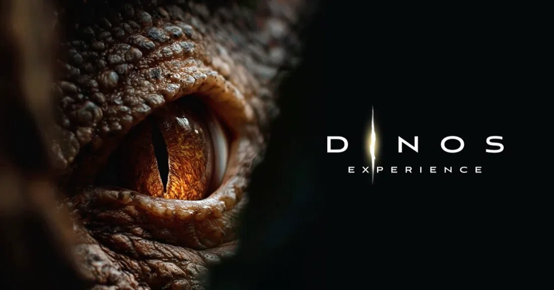 Dinos Experience, Stockholm